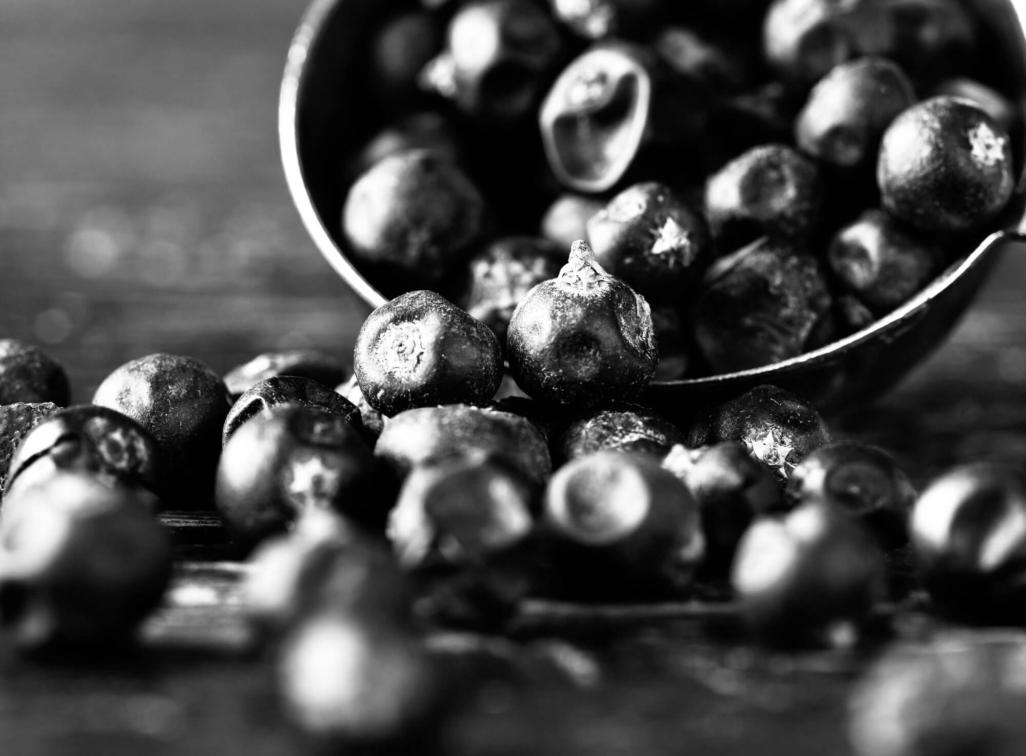 Über uns Dr. Horn Labs